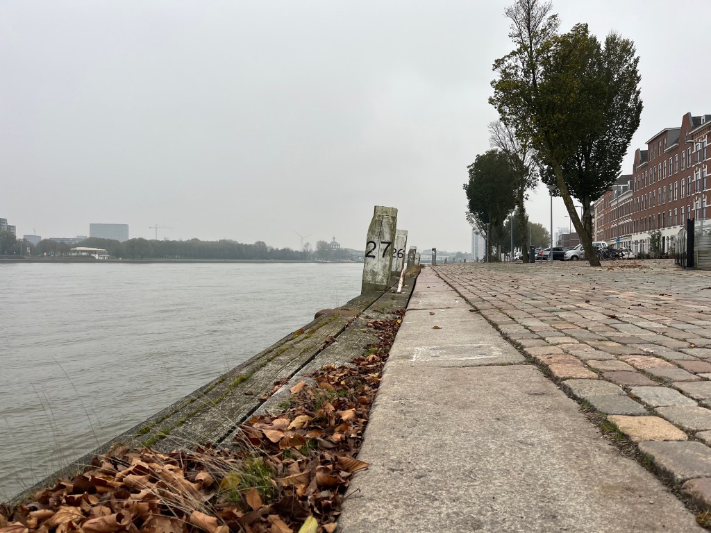 Foto van de Feijenoordkade